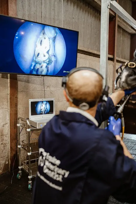 Equine veterinary Dentist Ltd Picture 1