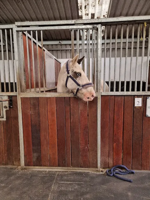 Equine veterinary Dentist Ltd Picture 2