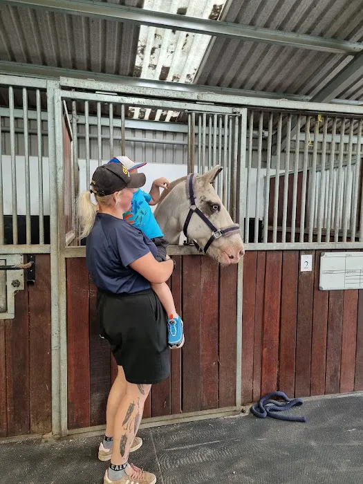 Equine veterinary Dentist Ltd Picture 5
