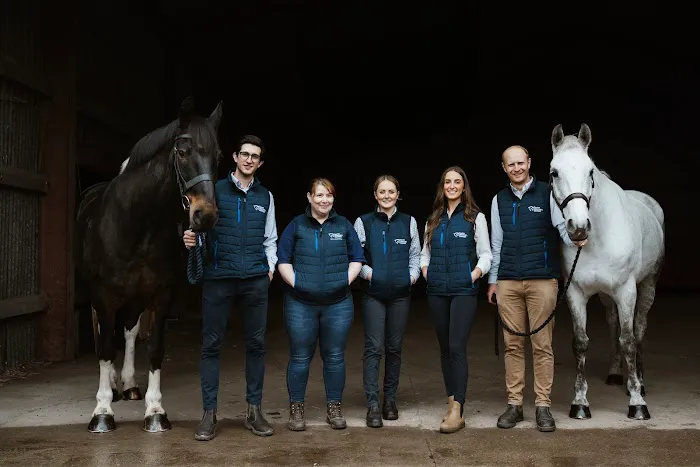 Equine veterinary Dentist Ltd Picture 8