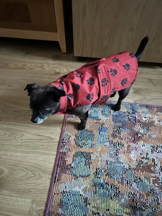 Jalia Designs Pet Boutique Picture 6