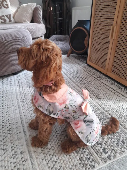 Jalia Designs Pet Boutique Picture 8