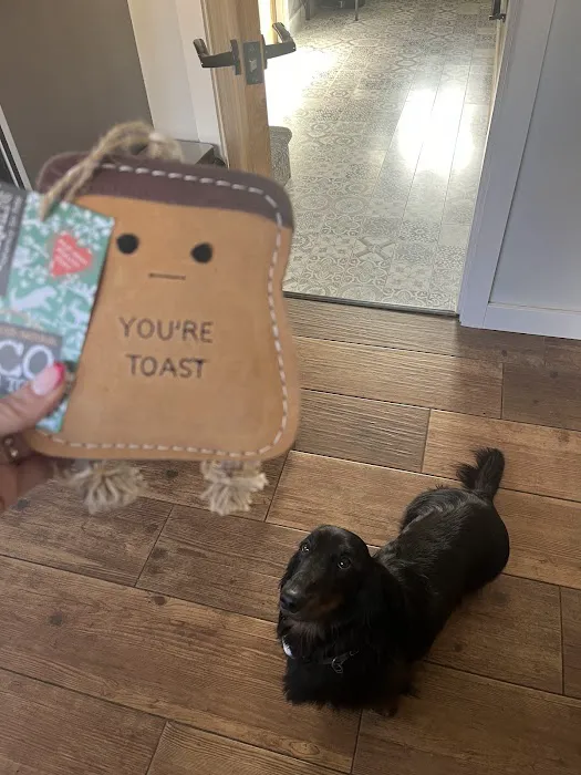 Gone Barking Picture 6