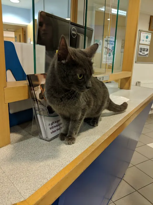 Gateshead PDSA Pet Hospital Picture 4