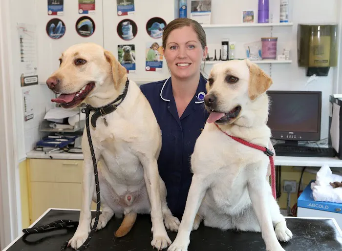 Grange Veterinary Surgery Picture 8