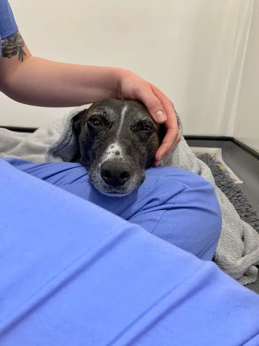 Grange Veterinary Surgery Picture 10