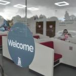 Harrison Family Vets, Stockon-on-Tees