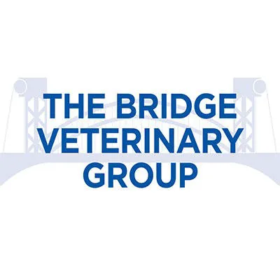 Bridge Veterinary Group - Billingham Picture 5