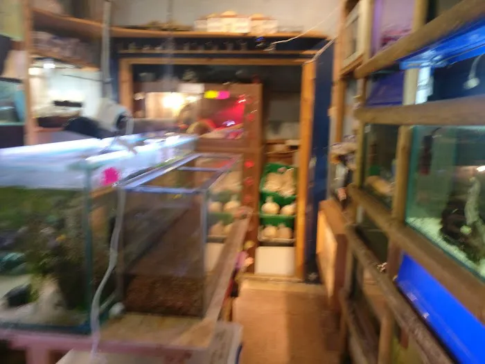 Heather's Place4Pets Picture 8