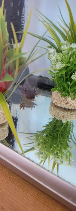 Heather's Place4Pets Picture 1