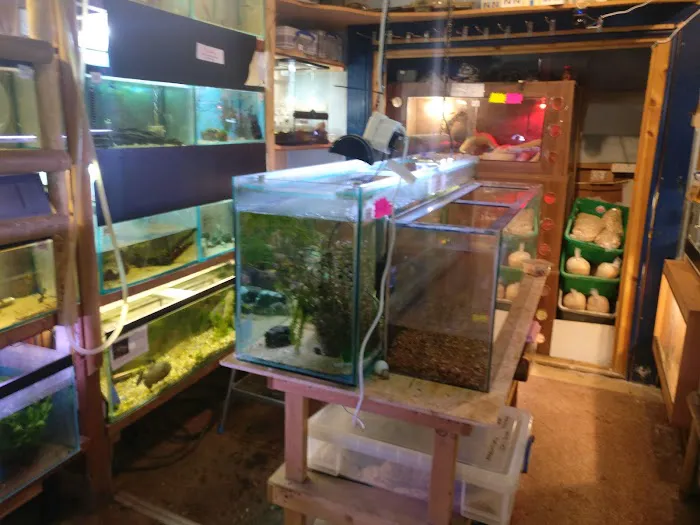 Heather's Place4Pets Picture 6