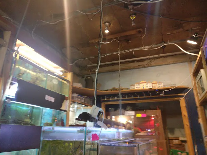 Heather's Place4Pets Picture 9