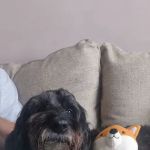 Clifton Lodge Veterinary Group, Billingham