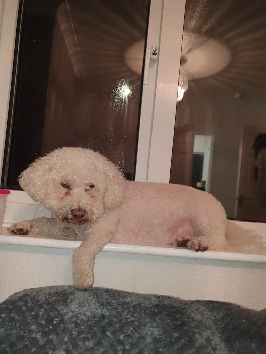 Middlesbrough PDSA Pet Hospital Picture 8