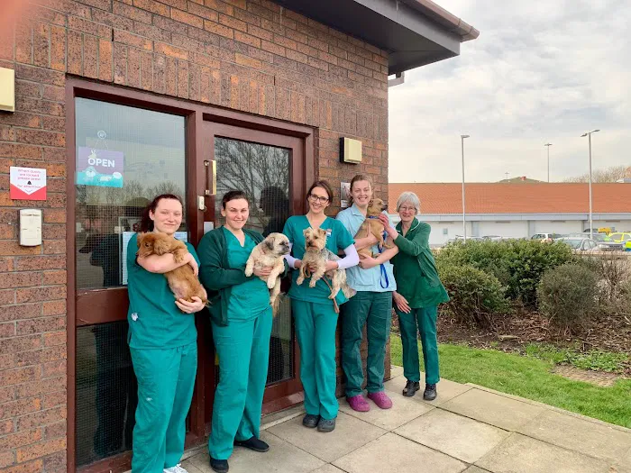 Bridge Veterinary Hospital - Middlesbrough Picture 9