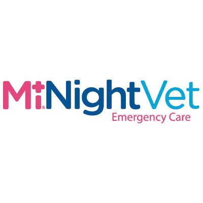 MiNightVet Middlesbrough Picture 5
