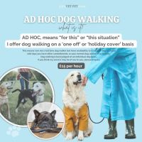 The Vet Pet Nurse ico