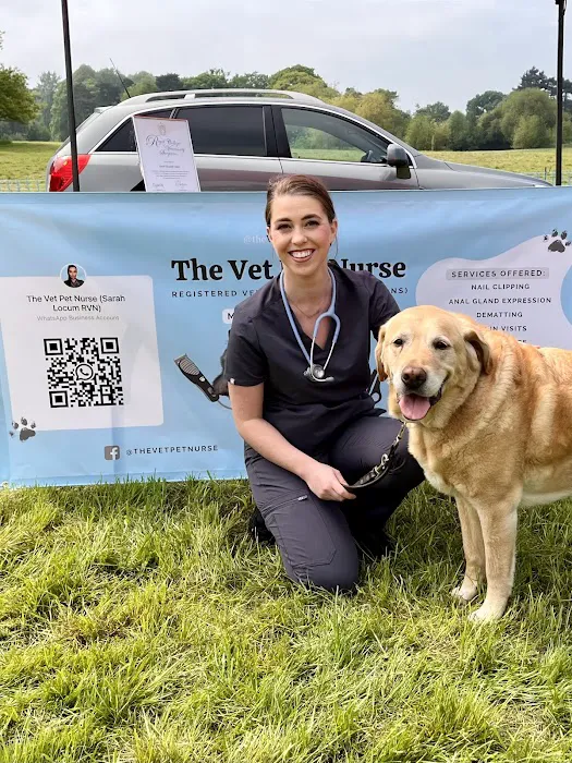 The Vet Pet Nurse Picture 6