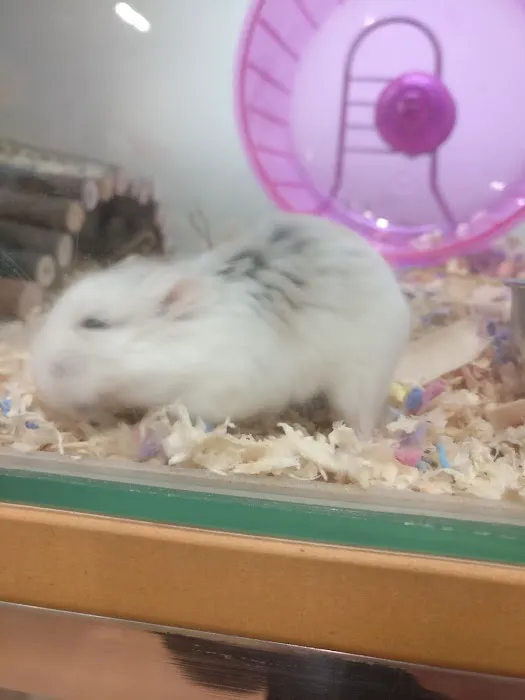 Pets at Home Catterick Picture 3