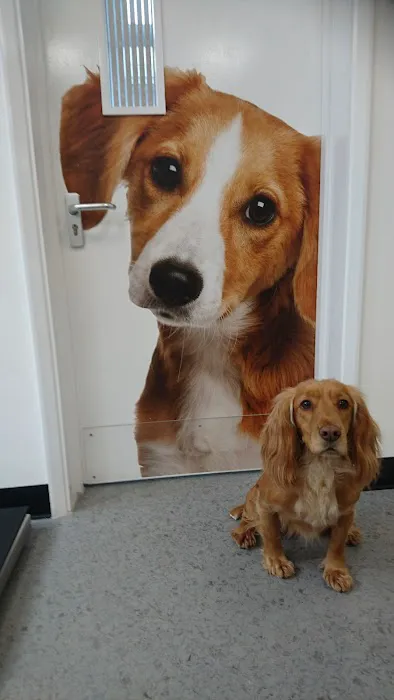 Pets at Home Northallerton Picture 3