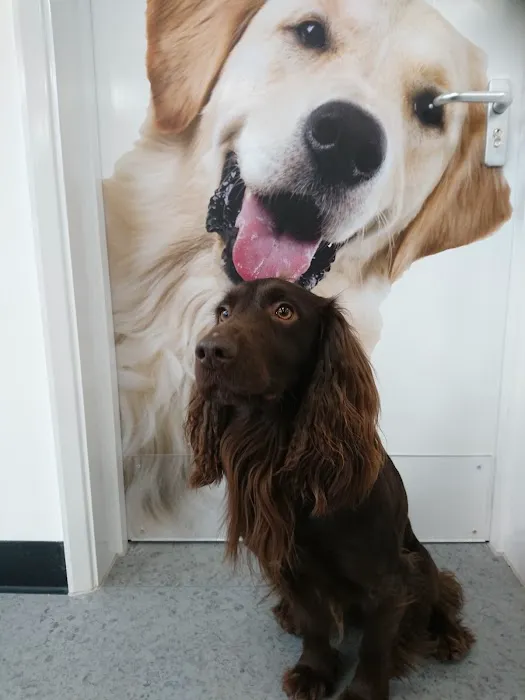 Pets at Home Northallerton Picture 8