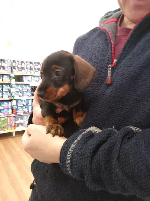 Pets at Home Northallerton Picture 9