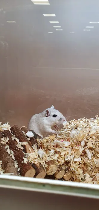 Pets at Home Northallerton Picture 10