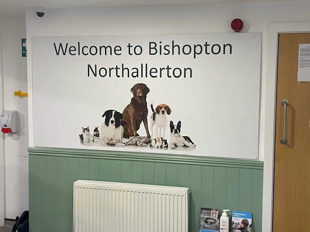Bishopton Veterinary Group Northallerton Picture 7