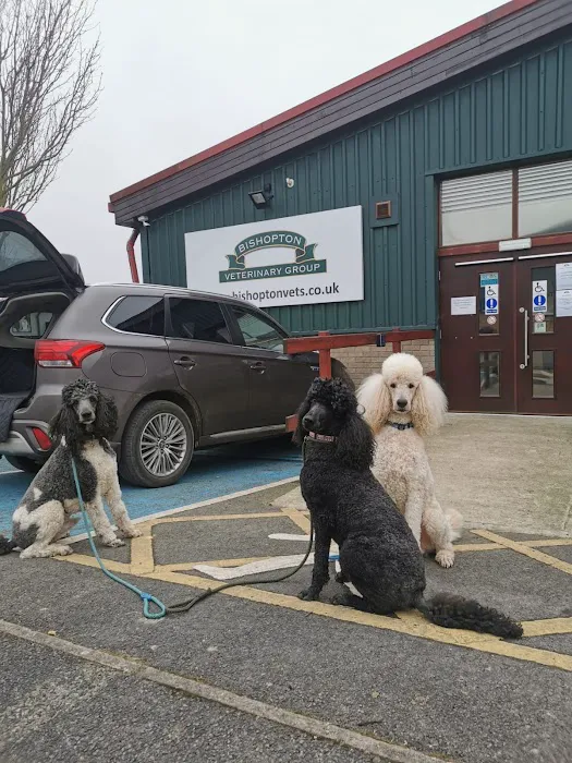 Bishopton Veterinary Group Northallerton Picture 9