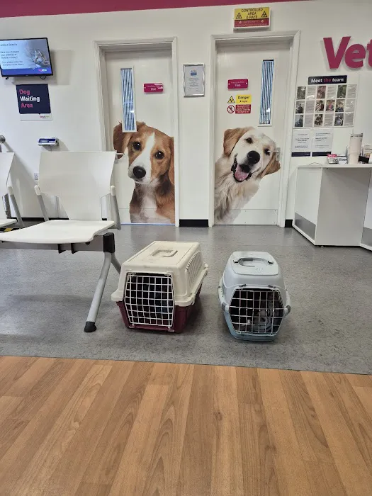 Vets4Pets - Northallerton Picture 4