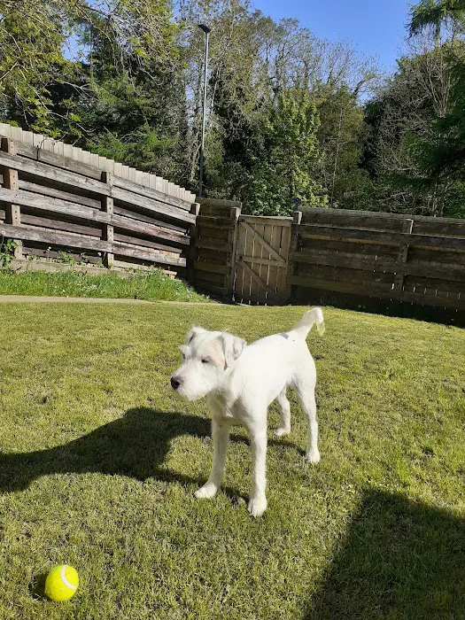 Vets4Pets - Catterick Garrison Picture 2