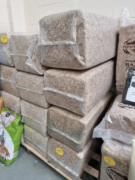 North East Pet Shop Picture 3