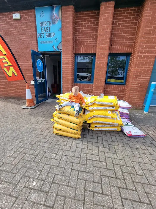 North East Pet Shop Picture 1