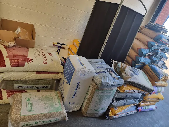 North East Pet Shop Picture 5