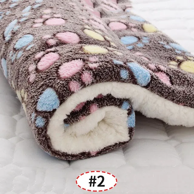 North East Pet Shop Picture 8