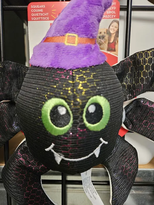 North East Pet Shop Picture 9