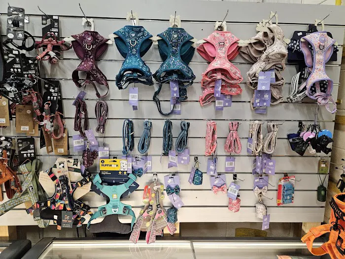 North East Pet Shop Picture 2