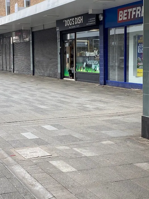 The Dog's Dish Picture 2