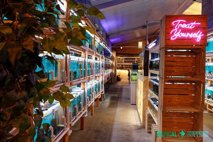 Tropical Supplies Limited Picture 8