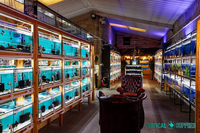 Tropical Supplies Limited Picture 9