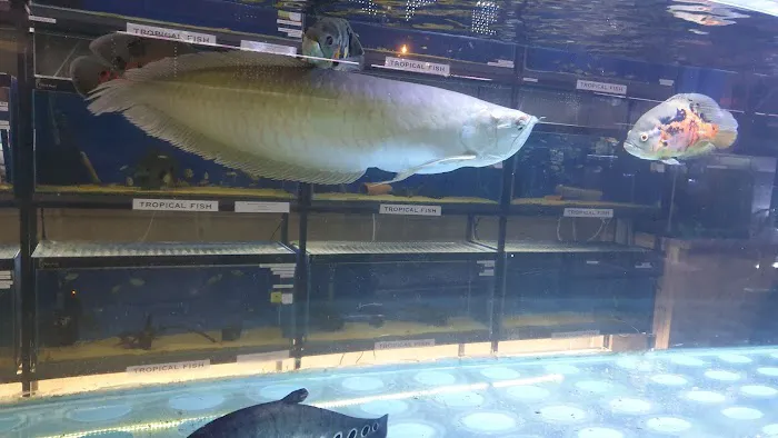 Tropical Supplies Limited Picture 1