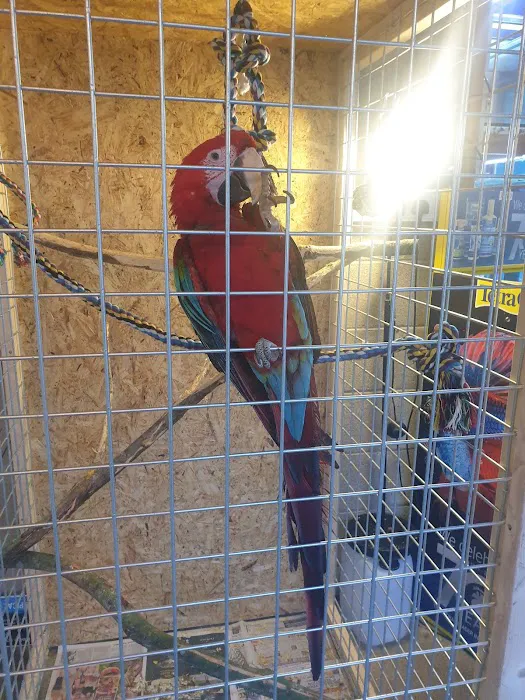 Tropical Supplies Limited Picture 5