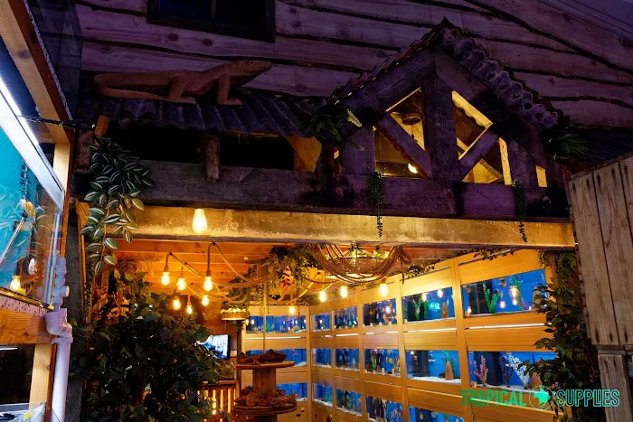 Tropical Supplies Limited Picture 6