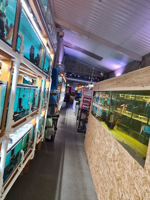 Tropical Supplies Limited Picture 4