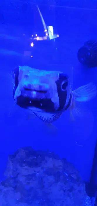 Tropical Supplies Limited Picture 2