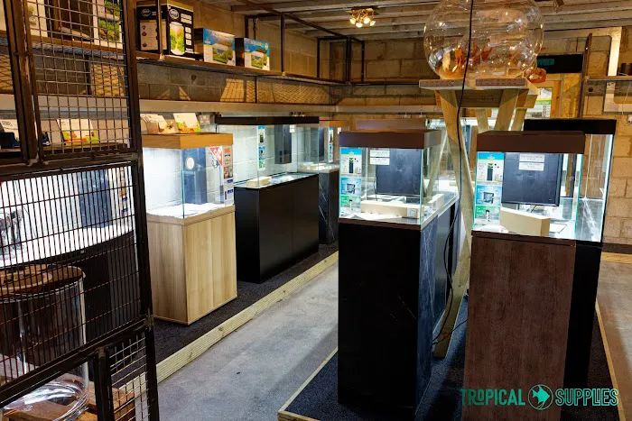 Tropical Supplies Limited Picture 7