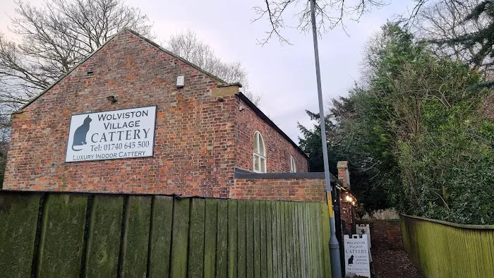 Wolviston Village Cattery Picture 8