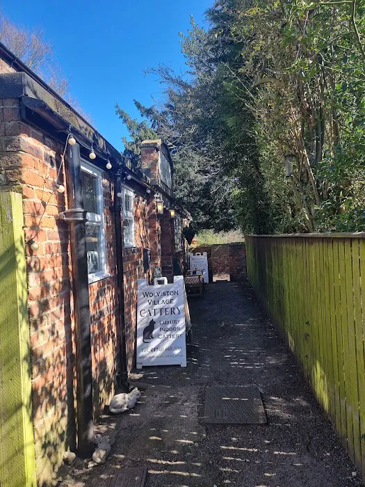 Wolviston Village Cattery Picture 7
