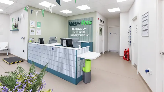 Vets for Pets Middlesbrough Picture 5