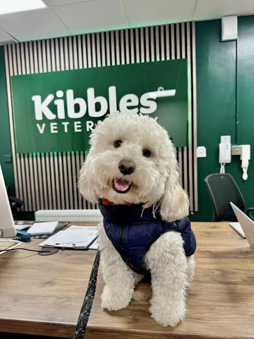 Kibbles Veterinary Picture 4